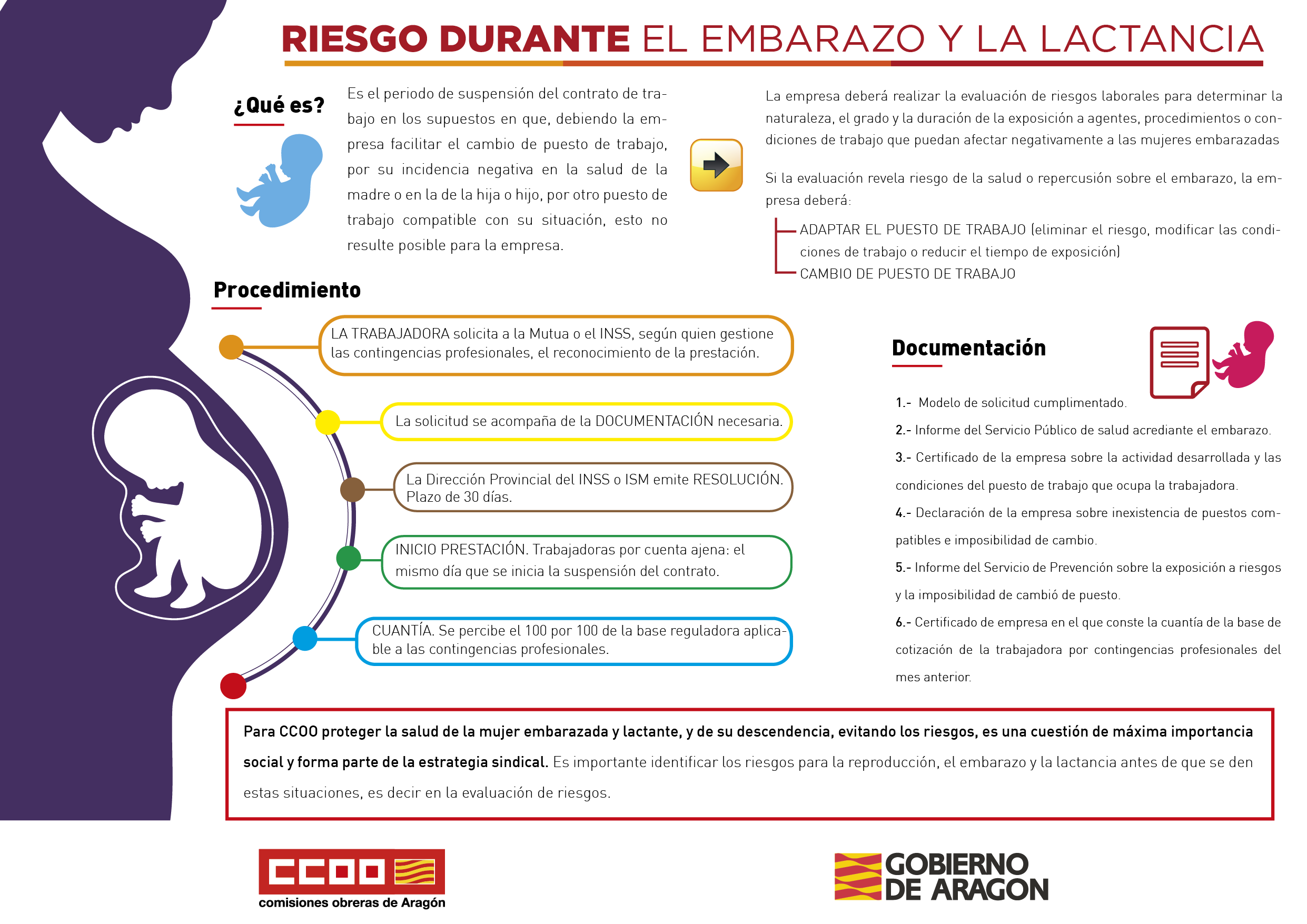 Prevención de riesgos durante el embarazo y la lactancia